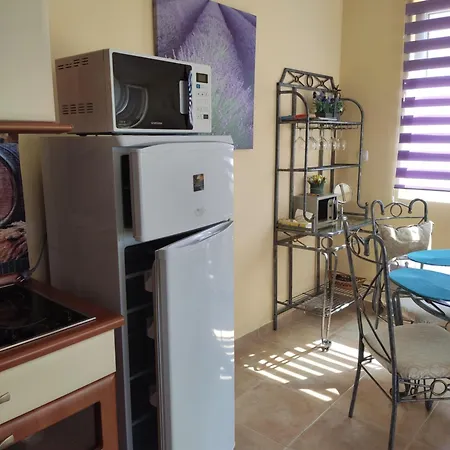 на море с собственным бассейном и подземным гаражом Apartamento Sveti Vlas